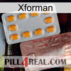 Xforman new13